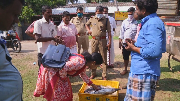 നീണ്ടകരയില്‍ വില്പനയ്‌ക്കെത്തിച്ച പഴകിയ മത്സ്യം ഭക്ഷ്യസുരക്ഷാ ഉദ്യോഗസ്ഥര്‍ പരിശോധിക്കുന്നു