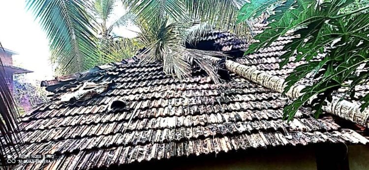 അരയില്‍ വാഴവളപ്പില്‍ കണ്ണന്റെ വീട് തെങ്ങ് വീണ് തകര്‍ന്നനിലയില്‍