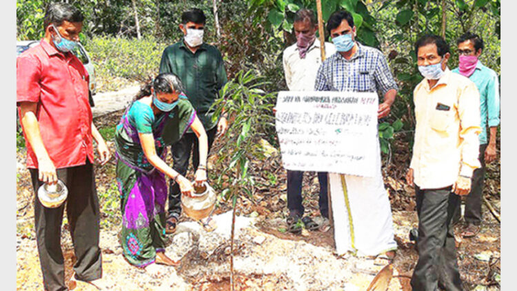 എന്‍ടിയു സ്ഥാപകദിനാഘോഷം മധൂര്‍ ഗ്രാമപഞ്ചായത്ത് പ്രസിഡണ്ട് മാലതി സുരേഷ്, സംഘടനാ വൃക്ഷം നട്ട് ഉദ്ഘാടനം ചെയ്യുന്നു