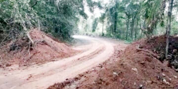 കര്‍ണ്ണാടക ഇട്ടിരുന്ന മണ്ണ് കഴിഞ്ഞ ദിവസം നീക്കം ചെയ്തപ്പോള്‍