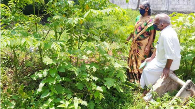 പി.ബി. ശ്രീധരനും ഭാര്യ ഗിരിജയും റോഡ് വികസനത്തിനായി കോര്‍പറേഷന്‍ അക്വയര്‍ ചെയ്ത തങ്ങളുടെ ഭൂമിയില്‍