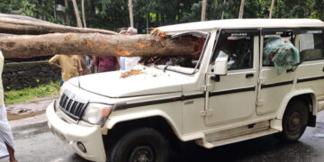 തടി കയറ്റിവന്ന ലോറിക്ക് പിന്നില്‍ ജീപ്പ് ഇടിച്ചുണ്ടായ അപകടം