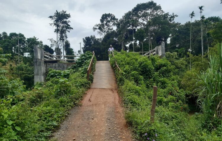 തുര്‍ക്കിപാലം