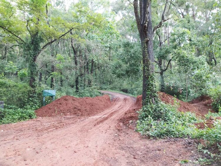 ദേലംപാടി-പഞ്ചിക്കല്‍ പാതയിലെ ദേവരഗുണ്ട റോഡിനു കുറുകെയിട്ട മണ്ണ് നീക്കി ഗതാഗതം പുനസ്ഥാപിച്ചപ്പോള്‍