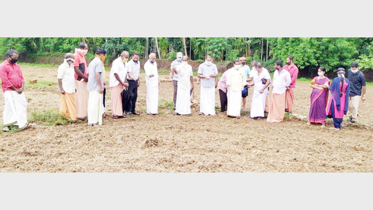 സുഭിക്ഷകേരളം പദ്ധതിയുടെ ഭാഗമായി കളനാട് സര്‍വ്വീസ് സഹകരണ ബാങ്കിന്റെയും മരവയല്‍ പാടശേഖര സമിതിയുടേയും സംയുക്താഭിമുഖ്യത്തില്‍ ഒരു ഹെക്ടര്‍ സ്ഥലത്ത് നെല്‍കൃഷി ചെയ്യുന്നതിന്റെ ഭാഗമായുള്ള വിത്തിടല്‍ കര്‍മ്മം ചെമ്മനാട് ഗ്രാമപഞ്ചായത്ത് പ്രസിഡന്റ് കല്ലട അബ്ദുള്‍ ഖാദര്‍ ഉദ്ഘാടനം ചെയ്യുന്നു