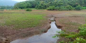 മലങ്കര ജലാശയത്തില്‍ ജലനിരപ്പ് ഗണ്യമായി താഴ്ന്നപ്പോള്‍