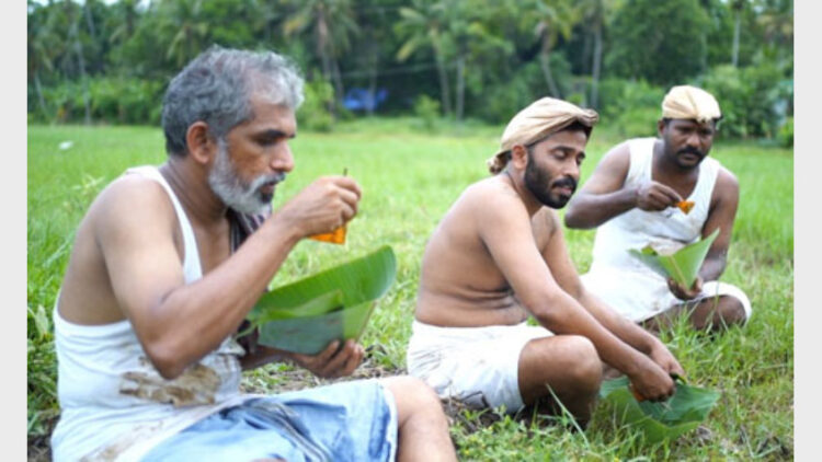 വസന്തം മറന്ന വേരുകള്‍ ആല്‍ബത്തില്‍ നിന്ന്