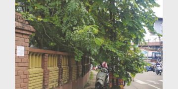 പിഡബ്ല്യുഡി റസ്റ്റ്ഹൗസിനു സമീപം റോഡിലേക്ക് തള്ളിനിക്കുന്ന മരച്ചില്ലകള്‍