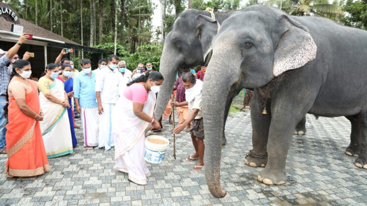 പദ്ധതിയുടെ ഉദ്ഘാടനം ഇ.എസ്. ബിജിമോള്‍ എംഎല്‍എ നിര്‍വ്വഹിക്കുന്നു