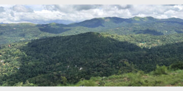 ഇരട്ടയാര്‍ പഞ്ചായത്തിലെ അടയാളകല്ലില്‍ നിന്നുള്ള വിദൂര ദൃശ്യം