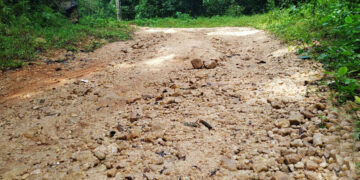 മക്കുവള്ളി മനയത്തടം ഗ്രാമങ്ങളിലേക്കുള്ള ഏക റോഡ് കാലവര്‍ഷത്തില്‍ തകര്‍ന്ന് കാല്‍നടയാത്രപോലും ദുഷ്‌ക്കരമായ നിലയില്‍