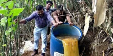 ബാരലുകളിലായി സൂക്ഷിച്ചിരുന്ന കോട എക്സൈസ് സംഘം നശിപ്പിക്കുന്നു