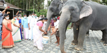 പദ്ധതിയുടെ ഉദ്ഘാടനം ഇ.എസ്. ബിജിമോള്‍ എംഎല്‍എ നിര്‍വ്വഹിക്കുന്നു