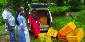 കരുനാഗപ്പള്ളിയില്‍ ആരോഗ്യവകുപ്പ് അധികൃതര്‍ പിടിച്ചെടുത്ത പഴകിയ മത്സ്യം