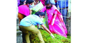 കോര്‍പ്പറേഷന്‍ കുളങ്ങളുടെ ശുചീകരണ ഉദ്ഘാടനം മേയര്‍ ഹണി ബഞ്ചമിന്‍ കല്ലുംതാഴത്തെ കൊച്ചുകുളത്തിലെ മാലിന്യങ്ങള്‍ നീക്കി നിര്‍വഹിക്കുന്നു