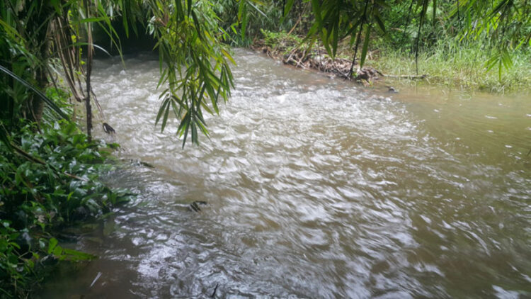 തലപ്പുഴ പൊയിലിലെ പുഴ