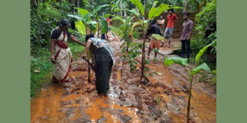 റോഡ് ഗതാഗതയോഗ്യമാക്കാത്തതില്‍ പ്രതിഷേധിച്ച് വീട്ടമ്മമാരുടെ നേതൃത്വത്തില്‍ റോഡില്‍ കൃഷിയിറക്കിയപ്പോള്‍