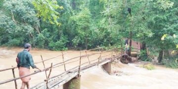 ബാളംകയക്കാര്‍ പള്ളഞ്ചി ചാലിന് കുറുകെ നിര്‍മിച്ച കവുങ്ങിന്‍ പാലത്തിലൂടെ യാത്ര ചെയ്യുന്നു