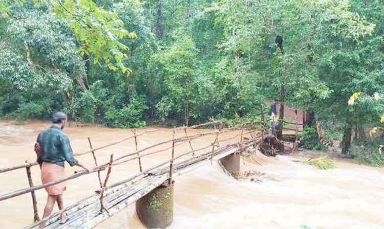 ബാളംകയക്കാര്‍ പള്ളഞ്ചി ചാലിന് കുറുകെ നിര്‍മിച്ച കവുങ്ങിന്‍ പാലത്തിലൂടെ യാത്ര ചെയ്യുന്നു