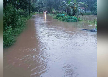 കനത്ത മഴയെ തുടര്‍ന്ന് തൊണ്ടിക്കുഴ രണ്ടുപാലത്ത് തോട് കരകവിഞ്ഞ് റോഡില്‍ വെള്ളം കയറിയപ്പോള്‍