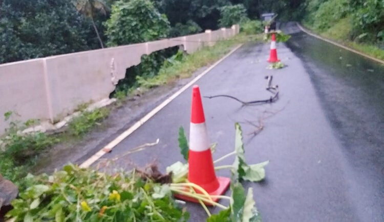 മുട്ടം- പാലാ റോഡിലെ പുറവിള ഭാഗത്ത് സംരക്ഷണ ഭിത്തി ഇടിഞ്ഞ് അപകടാവസ്ഥയിലായ റോഡ്