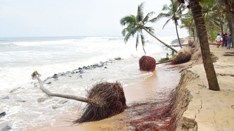 കടലാക്രമണം രൂക്ഷമായ നെല്ലിക്കുന്ന് കടപ്പുറം