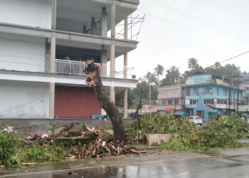 മങ്ങാട്ടുകവലയില്‍ നിര്‍മാണം പൂര്‍ത്തിയായി വരുന്ന ഷോപ്പിങ് കോംപ്ലക്‌സിന് സമീപം നിന്നിരുന്ന തണല്‍മരങ്ങള്‍ വെട്ടിനീക്കിയ നിലയില്‍