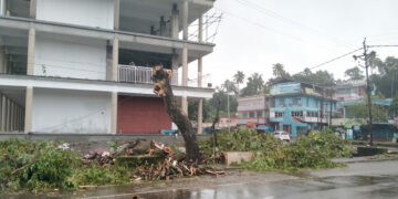 മങ്ങാട്ടുകവലയില്‍ നിര്‍മാണം പൂര്‍ത്തിയായി വരുന്ന ഷോപ്പിങ് കോംപ്ലക്‌സിന് സമീപം നിന്നിരുന്ന തണല്‍മരങ്ങള്‍ വെട്ടിനീക്കിയ നിലയില്‍