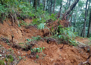 ഇടമലക്കുടിയിലേക്കുള്ള വഴിയില്‍ മണ്ണിടിഞ്ഞ നിലയില്‍(വെള്ളിയാഴ്ച പകര്‍ത്തിയ ചിത്രം)