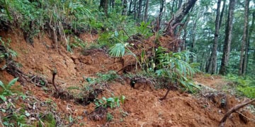 ഇടമലക്കുടിയിലേക്കുള്ള വഴിയില്‍ മണ്ണിടിഞ്ഞ നിലയില്‍(വെള്ളിയാഴ്ച പകര്‍ത്തിയ ചിത്രം)