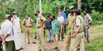 കടുവക്കായി തിരച്ചില്‍ നടത്തുന്ന വനം വകുപ്പ് ഉദ്യോഗസ്ഥര്‍