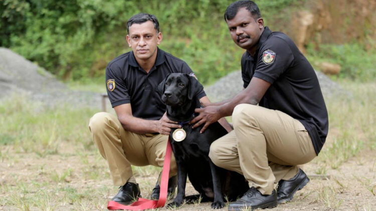 സംസ്ഥാന ബഹുമതി നേടിയ പോലീസ് നായ ഡോണ പരിശീലകരായ ടി.ആര്‍. അനീഷ്, ടി. പ്രദീപ് എന്നിവര്‍ക്കൊപ്പം