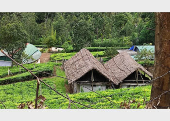 സൂര്യനെല്ലിയിലെ കാലിപ്‌സോ അഡ്വഞ്ചേഴ്‌സ് ക്യാമ്പ്