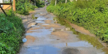 ലൈബ്രറി റോഡിലെ റോഡ് തകര്‍ന്ന് ചെളിക്കുളങ്ങള്‍ രൂപപ്പെട്ട നിലയില്‍. പാതയോരങ്ങള്‍ പൊന്തക്കാടുകള്‍ മൂടി റോഡ് ഇടുങ്ങിയ നിലയിലായതും കാണാം