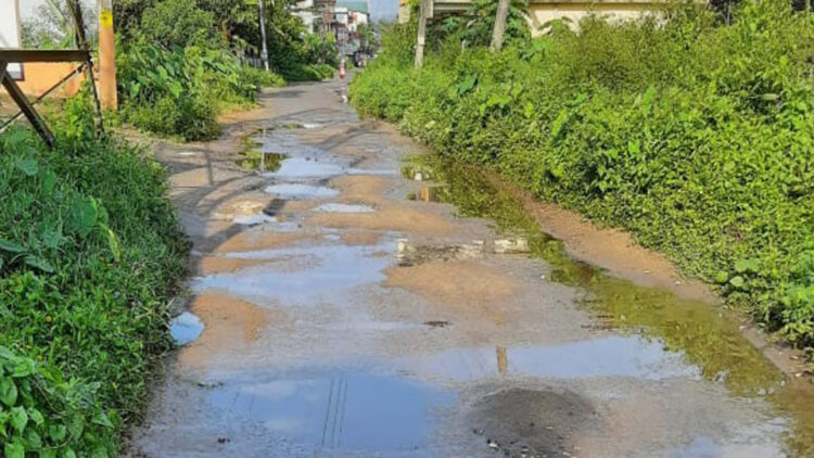 ലൈബ്രറി റോഡിലെ റോഡ് തകര്‍ന്ന് ചെളിക്കുളങ്ങള്‍ രൂപപ്പെട്ട നിലയില്‍. പാതയോരങ്ങള്‍ പൊന്തക്കാടുകള്‍ മൂടി റോഡ് ഇടുങ്ങിയ നിലയിലായതും കാണാം