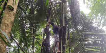 തൊണ്ണൂറ്റാറ് കുടിക്ക് സമീപം പന ചെത്തി കള്ള് ഉത്പാദിപ്പിക്കുന്ന സ്ഥലത്ത് എക്‌സൈസ് സംഘം പരിശോധന നടത്തുന്നു