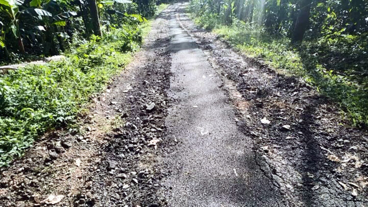 വാത്തിക്കുടി പഞ്ചായത്തിലെ ആര്യപ്പള്ളി റോഡ് പൂര്‍ണമായും തകര്‍ന്ന നിലയില്‍