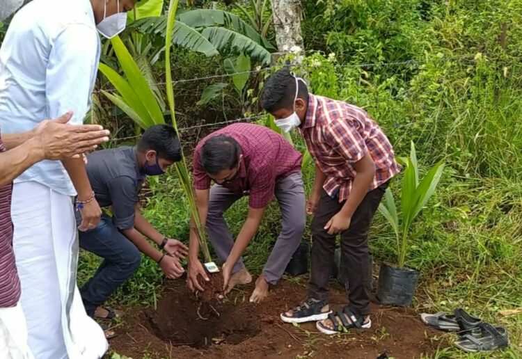 കൃഷി അസിസ്റ്റന്റ് അനീഷ് എ. സ്‌കൂള്‍ ക്യാമ്പസില്‍ തെങ്ങിന്‍ തൈ നടുന്നു