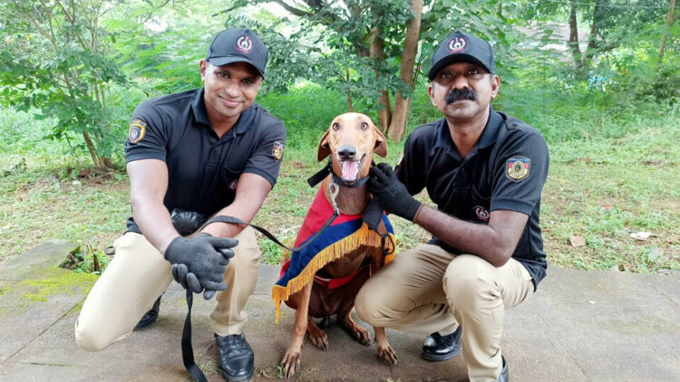 സ്‌ഫോടകവസ്തുക്കള്‍ മണത്ത് പിടിക്കാന്‍ പ്രത്യേക പരിശീലനം നേടിയ കൊല്ലം സിറ്റി പോലീസ് കെ 9 സ്‌ക്വാഡിലെ പെന്നി പരിശീലകര്‍ക്കൊപ്പം