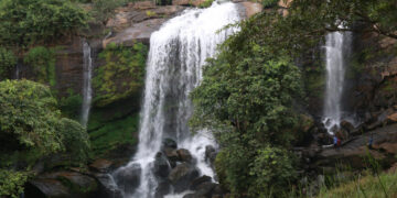 പുന്നയാര്‍ വെള്ളച്ചാട്ടം