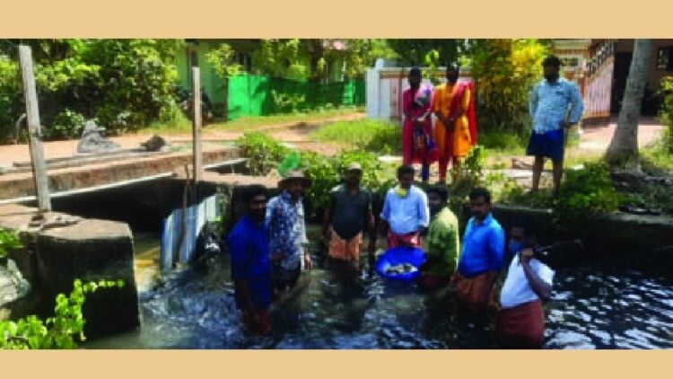 കുലശേഖരപുരം പഞ്ചായത്ത് അംഗം ആര്യാ രാജുവിന്റെ നേതൃത്വത്തില്‍ ബിജെപി പ്രവര്‍ത്തകര്‍ ബണ്ട് നിര്‍മിക്കുന്നു