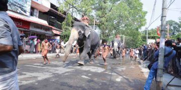 ഗുരുവായൂർ ഉത്സവത്തിന് മുന്നോടിയായി നടന്ന ആനയോട്ടത്തിൽ നിന്ന്