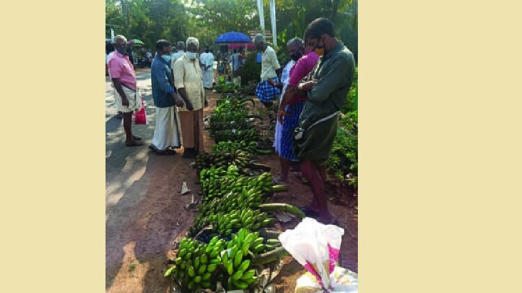 പീടികപച്ചയില്‍ കര്‍ഷകര്‍ വിളകള്‍ വില്‍പ്പനയ്‌ക്കെത്തിച്ചപ്പോള്‍