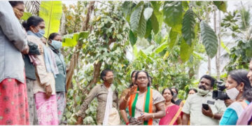 പന്നിമുണ്ട തച്ചമ്പത് കോളനിയില്‍ തൊഴിലുറപ്പ് സ്ത്രീകള്‍ക്കൊപ്പം സി.കെ. ജാനു