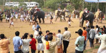 പിടിക്കപറമ്പ് ആനയോട്ടത്തിൽ നാകുളം ശാസ്താവിൻ്റെ തിടമ്പേറ്റിയ തോട്ടേക്കാട് വിനായകൻ എന്ന ആന ഒന്നാം സ്ഥാനത്തേക്ക് കുതിക്കുന്നു