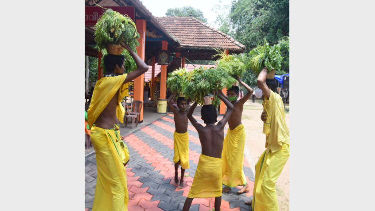 സൈഡസിന്റെ വിരഫിന്‍ മരുന്നിന് അടിയന്തിര ഉപയോഗത്തിന് ഡിസിജിഐ അനുമതി; ആന്റിവൈറല്‍ മരുന്നിന്റെ ഡോസ് നല്‍കുന്നത് സൗകര്യമെന്ന് വിലയിരുത്തല്‍