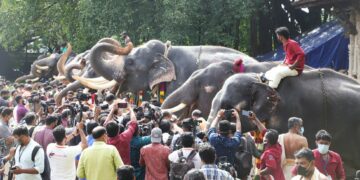 കർക്കട മാസാചരണത്തിൻ്റെ ഭാഗമായി തൃശൂർ വടക്കുന്നാഥ ക്ഷേത്രത്തിൽ നടന്ന ആനയൂട്ട്