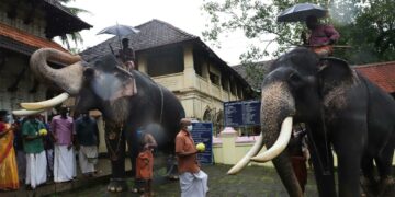 കൊച്ചിൻ ദേവസ്വം ബോർഡിലെ ആനകൾക്ക് സുഖചികിൽസയുടെ ഭാഗമായി വടക്കുന്നാഥ ക്ഷേത്രത്തിനു മുന്നിൽ സംഘടിപ്പിച്ച ആനയൂട്ട്