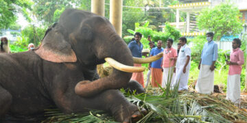 പിറന്നാള്‍ ആഘോഷിക്കുന്ന സ്‌കന്ദന്‍