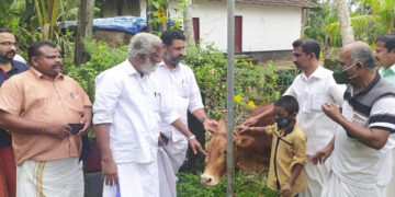 പ്രളയത്തില്‍ പശുക്കളെ നഷ്ടപ്പെട്ട പ്രശാന്തിന് കുമ്മനം രാജശേഖരന്‍ പശുവിനെ നല്‍കുന്നു